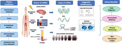 Circulating Cell-Free Nucleic Acids as Epigenetic Biomarkers in Precision Medicine